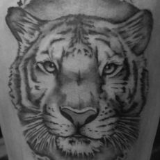 Marina_Eske_Tiger_Felix-Koch_Guns-N-Ink2