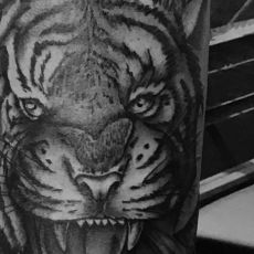 Markus_Tiger-Guns_N_Ink-Felix_Koch