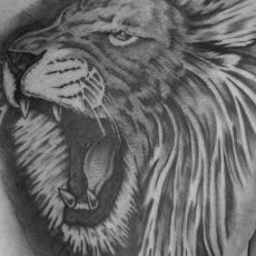 Thomas_Löwe-Guns_N_Ink-Felix_Koch